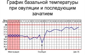 Температура базальная при простуде