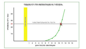 На какой день можно сдавать хгч после овуляции