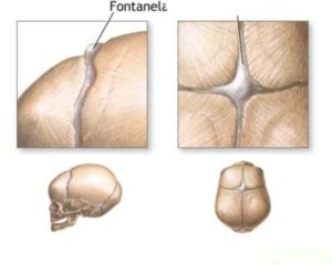 Родничок у ребенка рано зарос