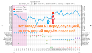 Нет овуляции есть месячные