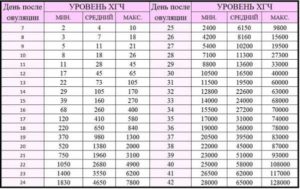 Хгч на 9 день после переноса эмбрионов