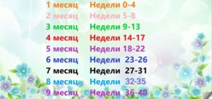 23 неделя беременности сколько это в месяцах