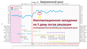 После овуляции второй день