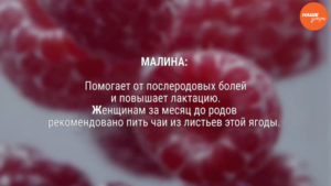 Листья малины для родов