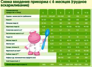 Схема прикорма по комаровскому