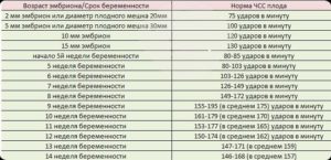 Сердцебиение по неделям беременности