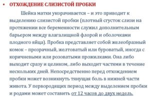 Отошла пробка через сколько начнутся роды у повторнородящих