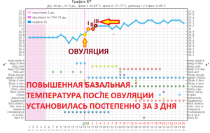 Почему базальная температура после овуляции не поднимается