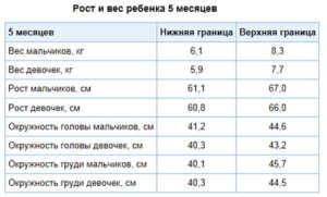 Рост в 6 месяцев мальчик