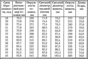 Окружность живота плода отстает