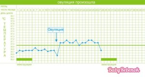 Как понять что после овуляции произошло зачатие