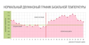 Базальная температура при беременности во время месячных