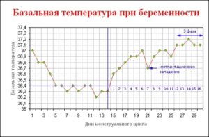 Температура при беременности 37 7