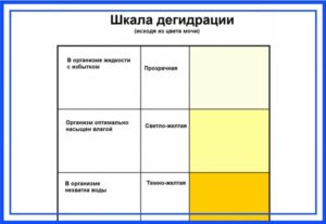 Моча при беременности на ранних сроках какого цвета