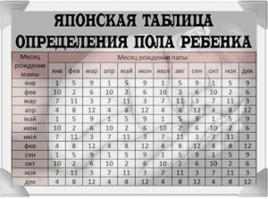 Во время беременности как можно определить пол ребенка