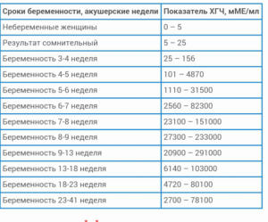 Хгч у небеременных женщин норма