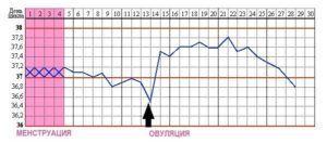 Температура тела после овуляции