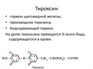 Тироксин за что отвечает