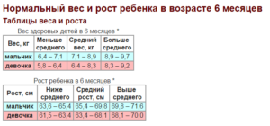 Норма вес в 6 месяцев