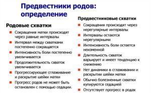 Чем отличаются схватки от предвестников