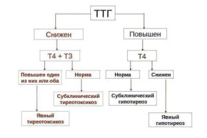 Повышенный ттг как снизить