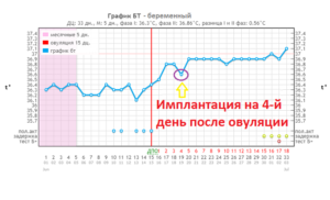 После овуляции второй день