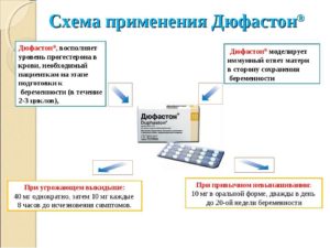 Как долго можно принимать дюфастон при планировании беременности