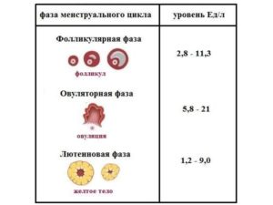 Норма лг и фсг на 3 день цикла