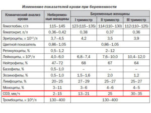 Лейкоциты в моче норма у женщин при беременности