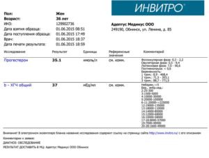 Сколько по времени делается анализ хгч на беременность