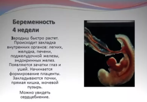 Признаки на 4 недели беременности