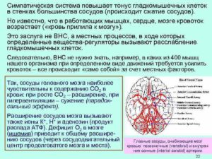 Повышен тонус магистральных артерий