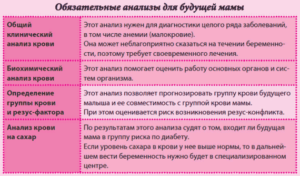 Какое обследование нужно пройти при планировании беременности