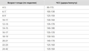 Сердцебиение по неделям беременности
