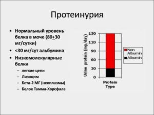 Диета при беременности при повышенном белке в моче