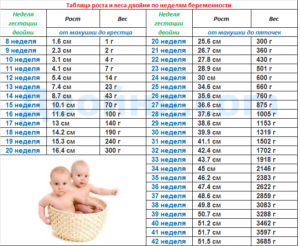 Вес плода 36 недель