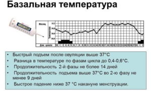 Температура базальная выше 37