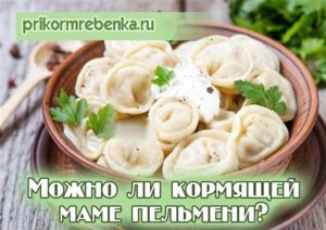 Можно ли кормящей маме пельмени в первый месяц