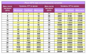 Хгч как растет на ранних сроках по дням