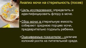 Моча на стерильность при беременности как собрать