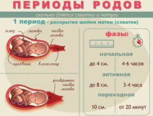 Сколько длится одна схватка