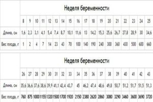 Параметры плода на 21 неделе беременности