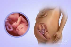 40 недель и 3 дня беременности вторые роды