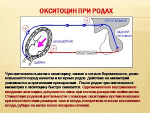 Зачем ставят окситоцин при родах