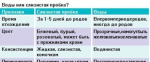 За сколько времени отходят воды до родов