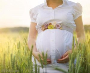 Можно ли пить ромашку на ранних сроках беременности