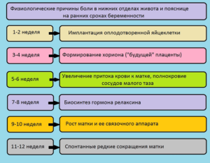 38 неделя беременности болит поясница как при месячных