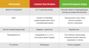 Через сколько начинаются роды после отхождения слизистой пробки