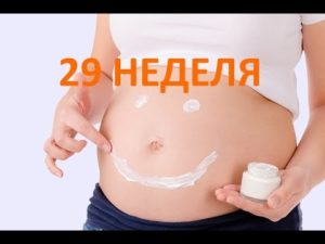 Питание на 29 неделе беременности
