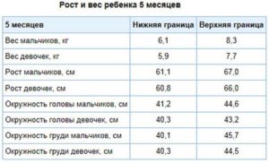 Рост ребенка в шесть месяцев